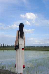 娱乐修罗场：恋综现场全是我前女友