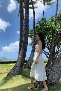 进化：从村里的大鹅进化成神兽