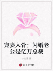 宠妻入骨:闪婚老公是亿万总裁